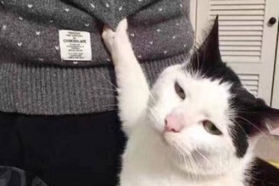 ​格洛米借给你什么意思