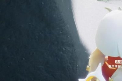 ​光遇欧若拉是什么意思