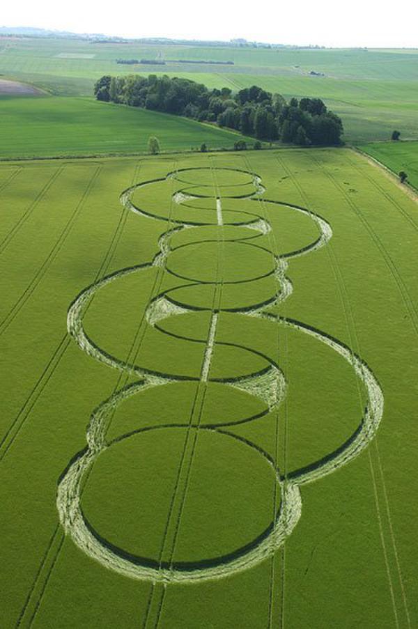 那些神秘的麦田怪圈
