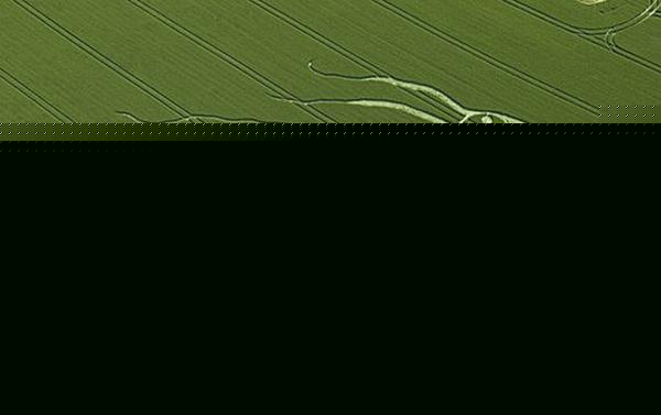 那些神秘的麦田怪圈