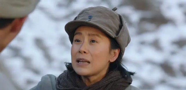 海清演过的电视剧(海清饰演的十大经典角色)