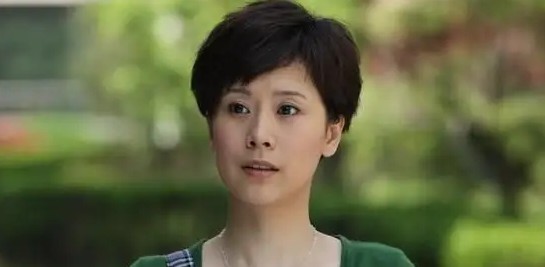 海清演过的电视剧(海清饰演的十大经典角色)