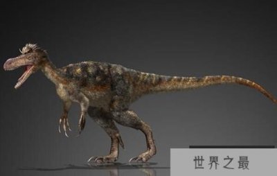 ​北美洲小型食肉恐龙：史托龙，体长4米的小型暴龙类恐龙
