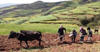 ​云南被认为是“最穷”的五个县，不在昭通，也不在红河州