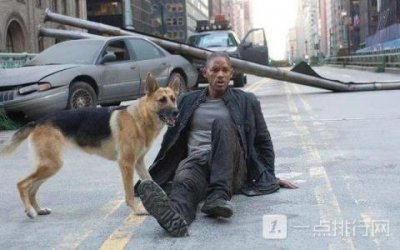 逃亡电影有哪些推荐2025(逃亡电影排行榜前五)