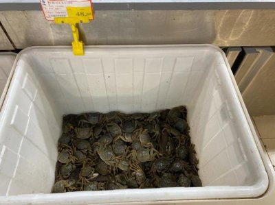 付刚口供河蟹什么意思(付刚口供河蟹意思是什么)