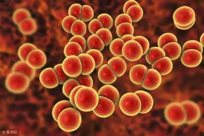 淋病的传播途径 这4个都是淋病的传播途径,得避而远之了,希望你不会中招