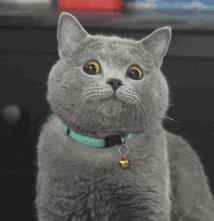 李小璐被卓伟拍到跟PG one过夜,却跟贾乃亮说自己做头发去了…