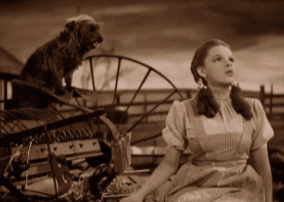 关于绿野仙踪的十部电影(歌舞片长久不衰80年绿野仙踪的贡献)(16)