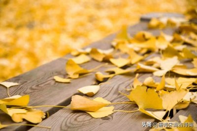 一叶知秋造句(一叶知秋,叶落成秋)
