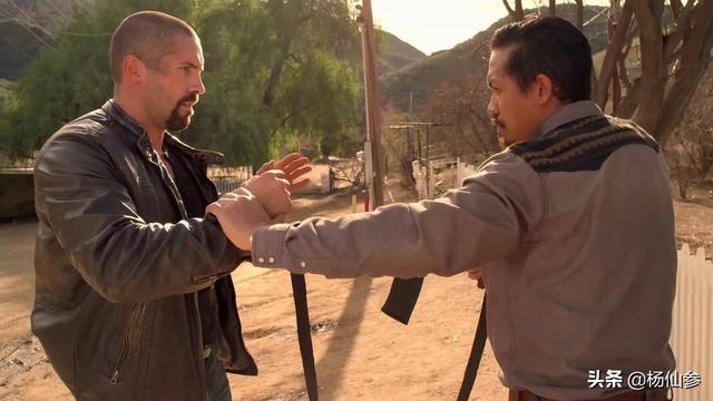 斯科特阿金斯动作大电影(史上最全斯科特)(16)