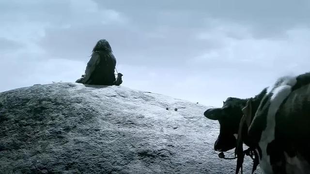 黄渤最棒的12部电影(一部黄渤和一头牛斗演技的电影)(5)