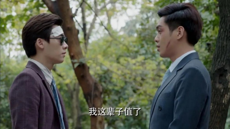 麻雀电视剧剧情介绍(麻雀为假妻子赔上真心的唐山海)