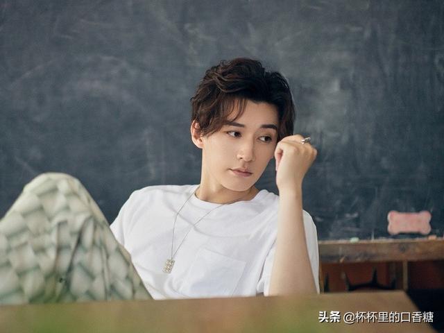 张予曦成毅还演过什么电视剧(琉璃捧红的9位演员资源差别大)(16)