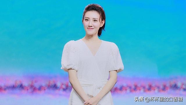 张予曦成毅还演过什么电视剧(琉璃捧红的9位演员资源差别大)(24)