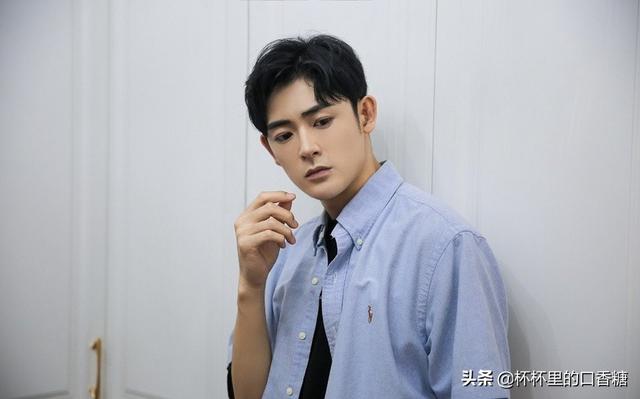 张予曦成毅还演过什么电视剧(琉璃捧红的9位演员资源差别大)(35)