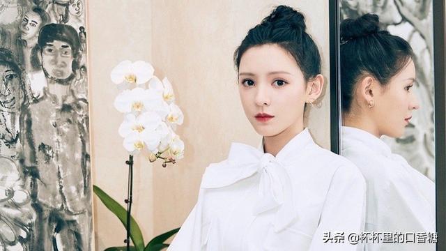 张予曦成毅还演过什么电视剧(琉璃捧红的9位演员资源差别大)(12)