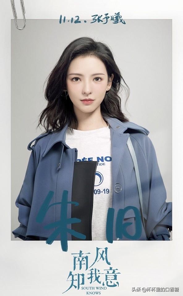 张予曦成毅还演过什么电视剧(琉璃捧红的9位演员资源差别大)(14)