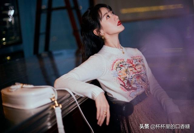 张予曦成毅还演过什么电视剧(琉璃捧红的9位演员资源差别大)(8)