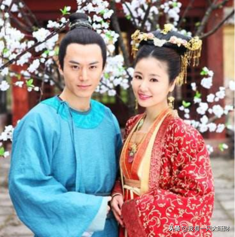 倾世皇妃讲述的什么内容(倾世皇妃剧情介绍大概)