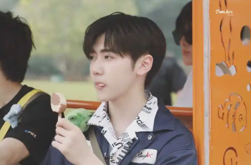 为什么艺人不能谈恋爱(男明星为什么不敢谈恋爱) 第3张 为什么艺人不能谈恋爱(男明星为什么不敢谈恋爱) 第3张