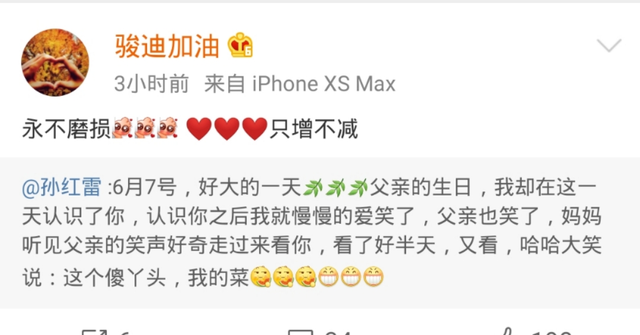 王骏迪是孙红雷的老婆吗(王骏迪是孙红雷老婆吗) 王骏迪 孙红雷 第3张 王骏迪是孙红雷的老婆吗(王骏迪是孙红雷老婆吗) 王骏迪 孙红雷 第3张