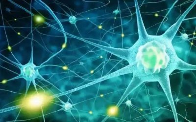 海洋药学是什么 海洋药学专业是干什么的