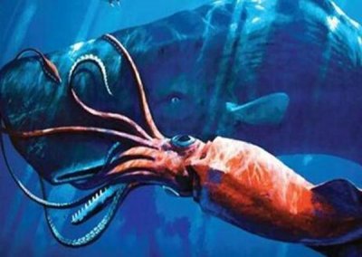 乌贼是什么动物类型(乌贼遇到敌人会选择喷墨逃生)