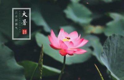 大暑是什么样的一个节气?大暑有哪些要注意的?