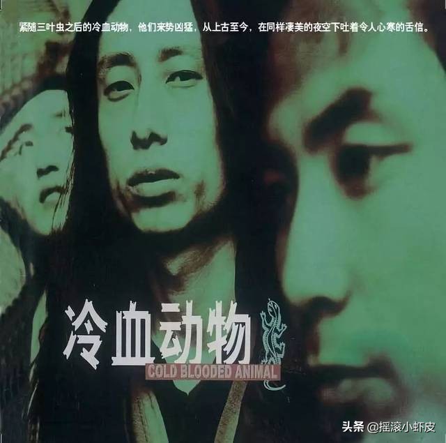 谢天笑孙海英什么梗(孙海英的表演为什么都是一个样子)(6)