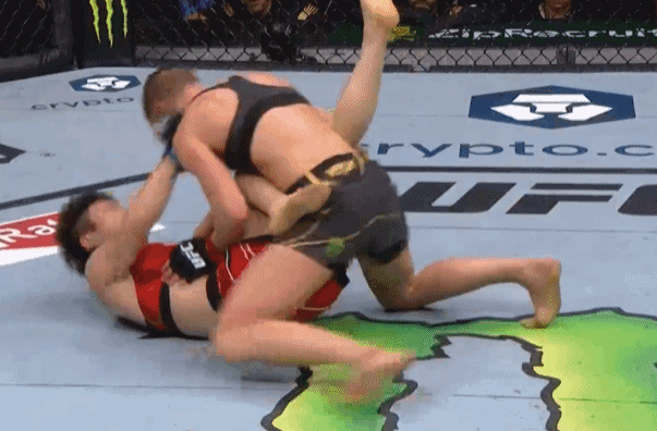 张伟丽什么时候再和罗斯打比赛(张伟丽被罗斯爆锤)(10)