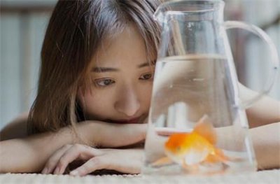 拍案叫绝的撩妹金句,10句撩妹金句