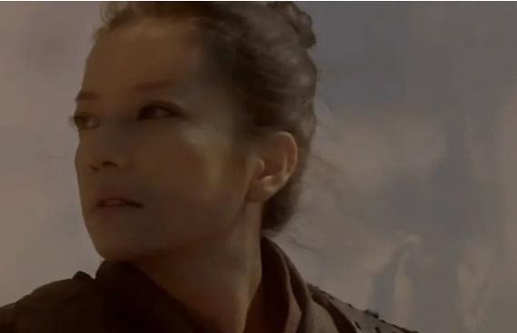 赵薇苏有朋新电影(赵薇版花木兰评分飙升)(2)