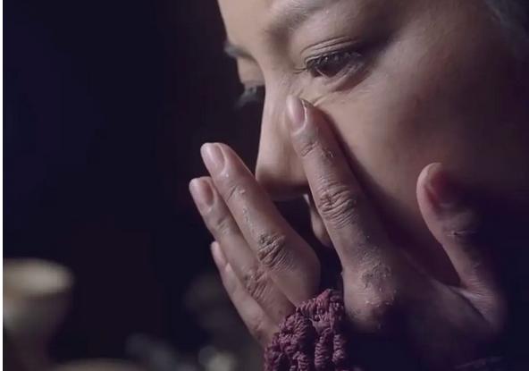 赵薇苏有朋新电影(赵薇版花木兰评分飙升)(4)