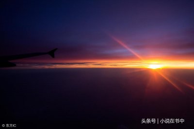 《傲世九重天》最老谋深算的人 第五轻柔和莫天机比不过他