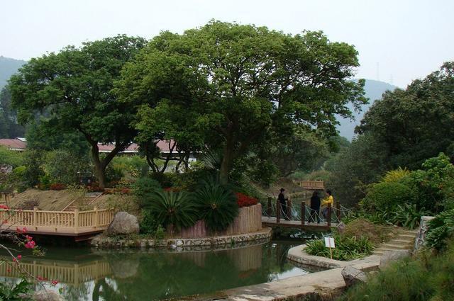 广东最“富裕”和“最穷”的两个城市