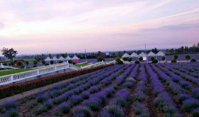 西安最“良心”景区，以为门票要上百元，实际物价低停车也免费