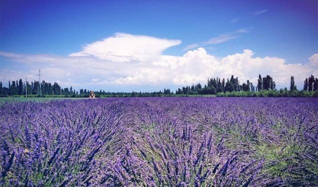 西安最“良心”景区，以为门票要上百元，实际物价低停车也免费