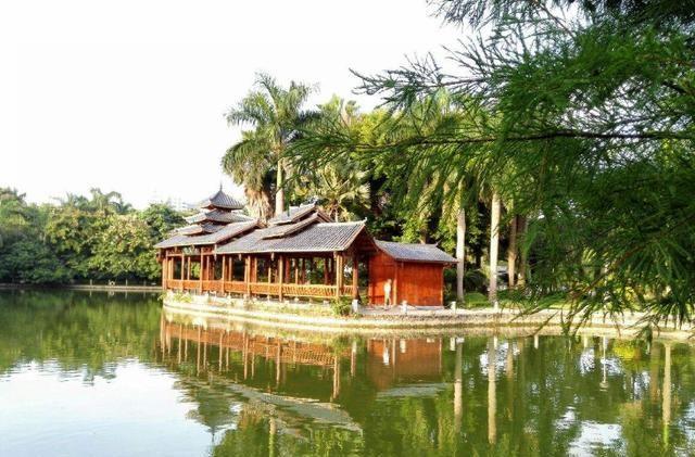 广西最“低调”的公园，拥有“植物界的大熊猫”