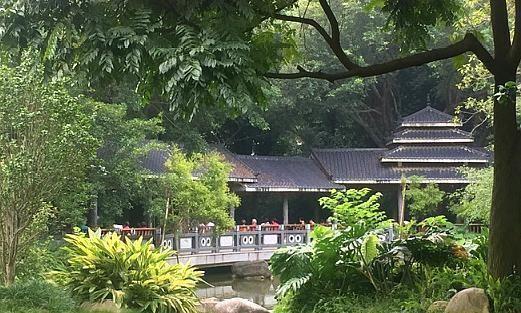 广西最“低调”的公园，拥有“植物界的大熊猫”