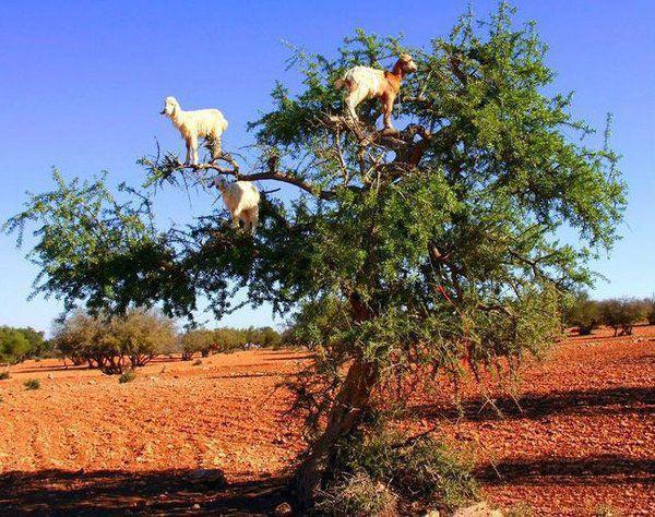图看全球10大最神秘的自然现象，令人惊奇