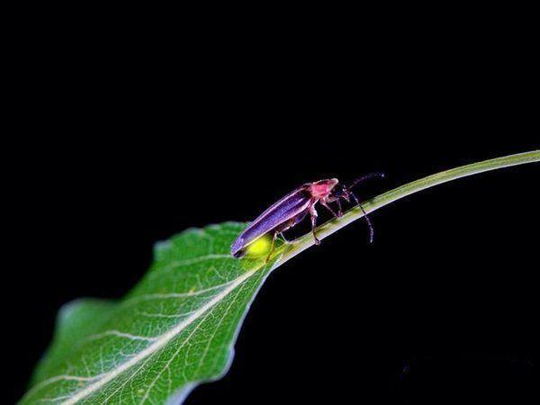 图看全球10大最神秘的自然现象，令人惊奇
