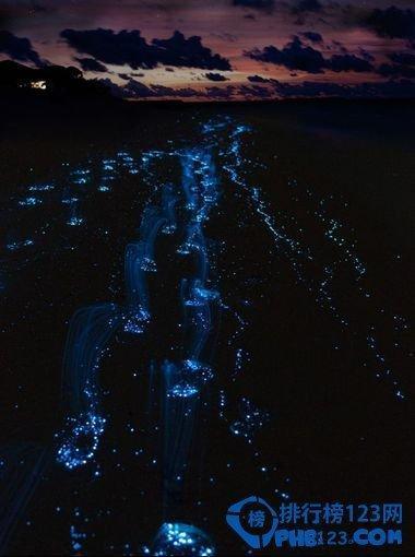 图看全球10大最神秘的自然现象，令人惊奇