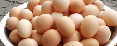 红薯跟鸡蛋牛奶可以一起吃吗 鸡蛋牛奶和红薯可以一起吃吗