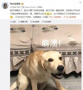 吴镇宇 14 岁儿子确诊新冠:吃了几天粥