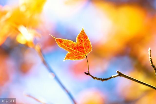 仓央嘉措最美的10段诗（值得珍藏）