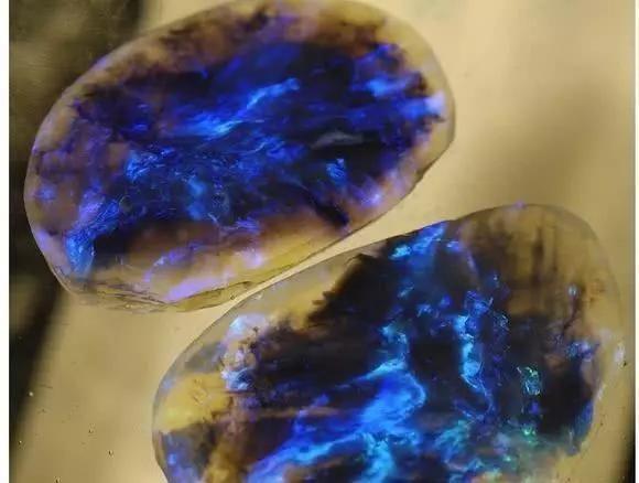 6个石头界的“极品”,图二差点吃了!最后一个看完感觉恋爱了!