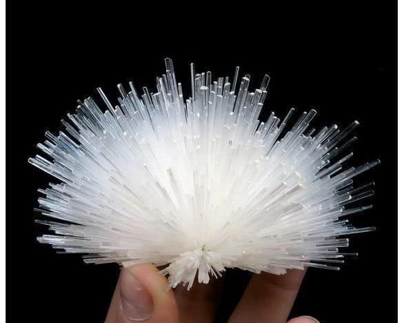 6个石头界的“极品”,图二差点吃了!最后一个看完感觉恋爱了!