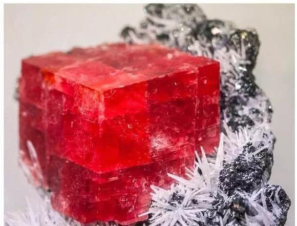 6个石头界的“极品”,图二差点吃了!最后一个看完感觉恋爱了!