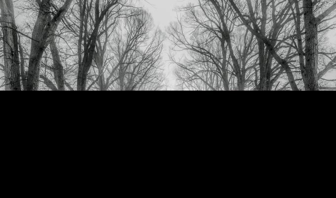 7eb80aa2848a6ca40ce48fb0c3d6aa11.png 未命名.png